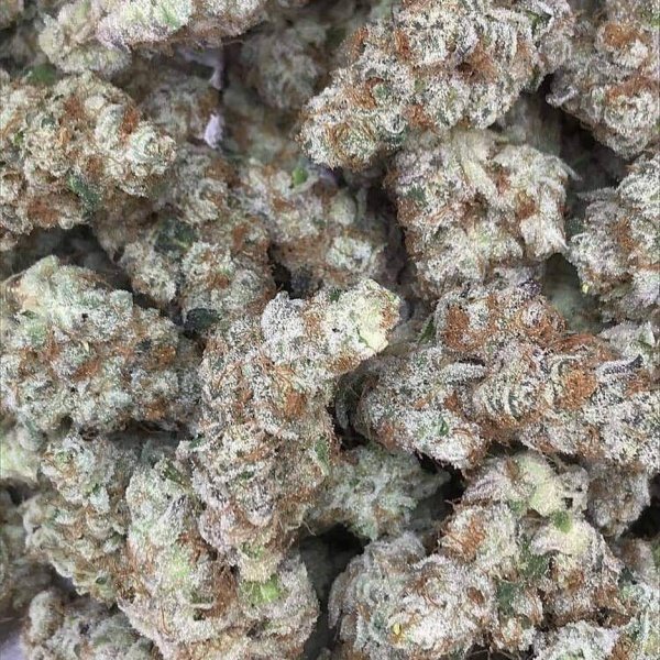 White Guava strain