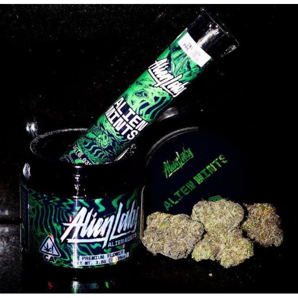 Alien Mints Strain