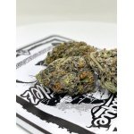 Cannatique | Ace of Spadez
