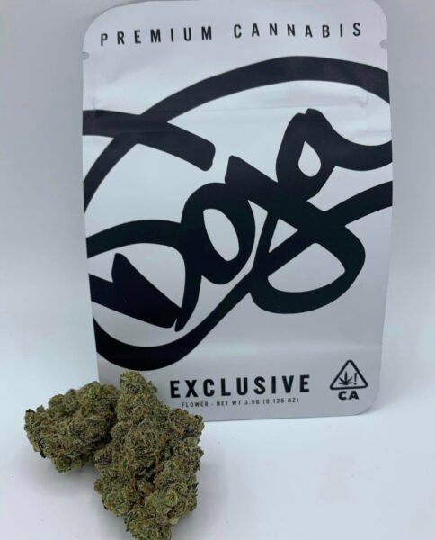 Doja Exclusive | Apple Fritter