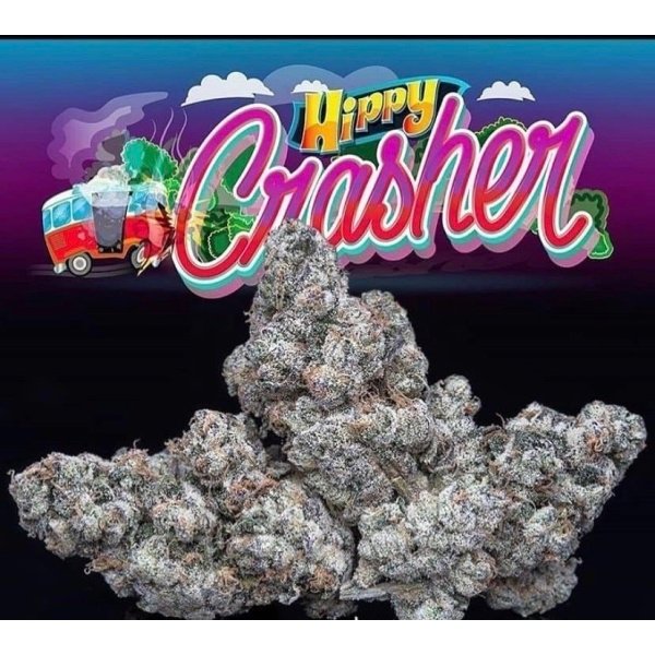 Hippie Crasher Weed