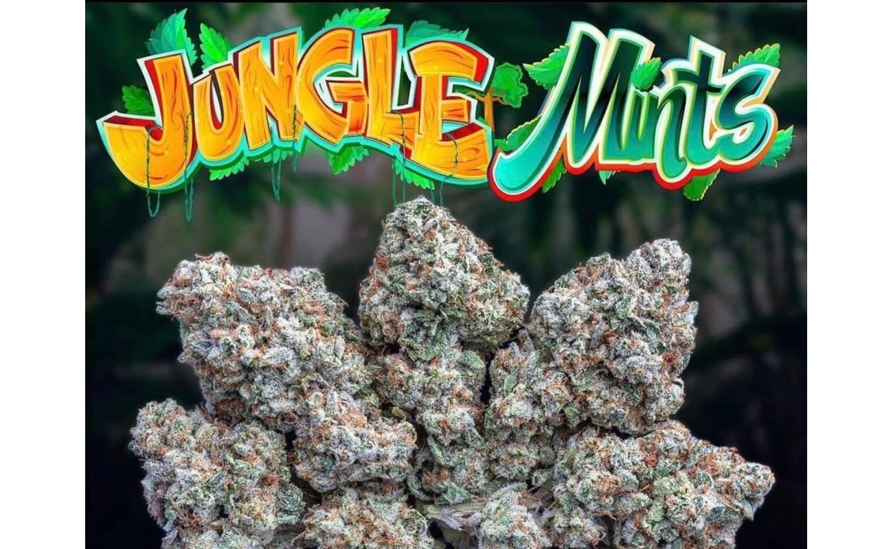 Jungle Mints Strain