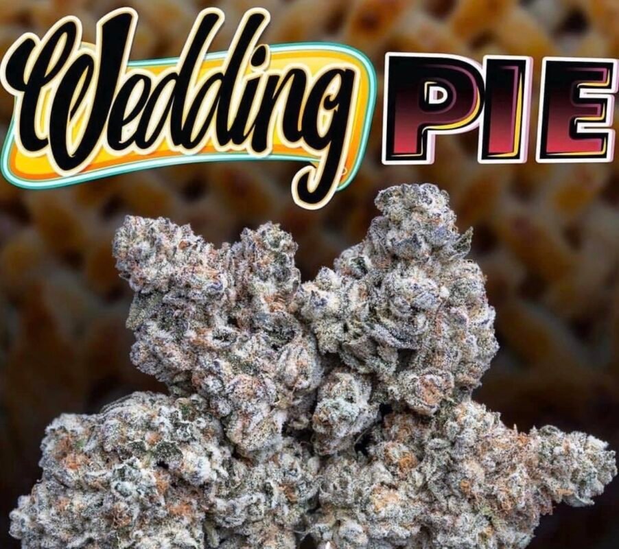 Wedding Pie Jungle boys